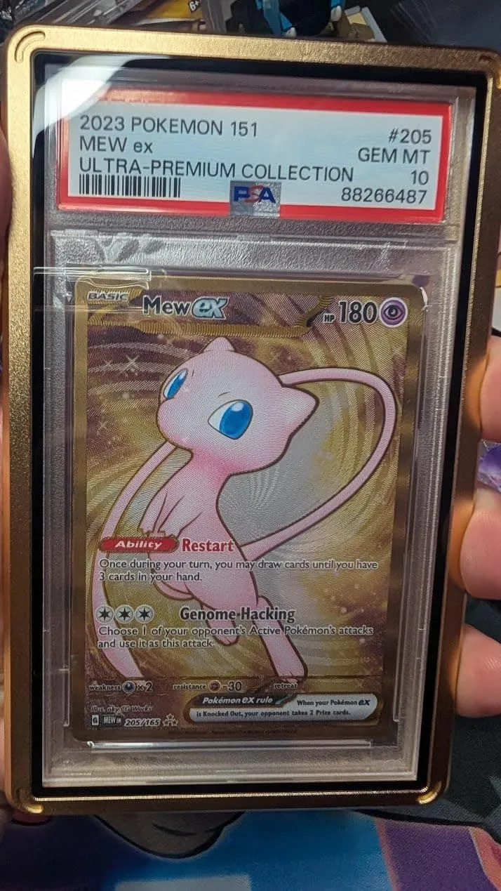 Customer photo — It's Mewtiful!